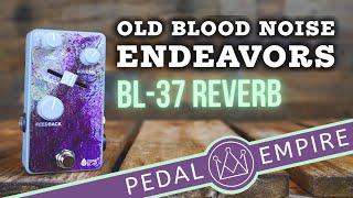 Old Blood Noise Endeavours BL-37 Reverb - Pedal Empire