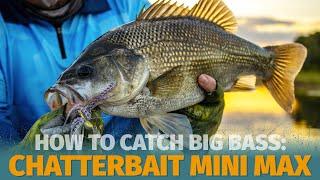 How to Catch Bass - Fishing the ZMan ChatterBait Mini Max for Impoundment Bass