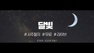 463무료사주상담-월살