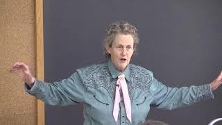 Temple Grandin - General Cattle Handling