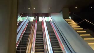 Schindler 9300AE Escalators at Regal Cinemas, Tangram Shops - Flushing, NY