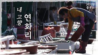 [어시장블루스2024] ep2. 나의 고향 부산 기장 연화리