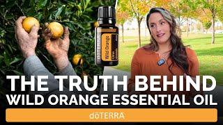 Wild Orange Essential Oil Review | Benefits, Uses & Sourcing Insights from doTERRA Experts