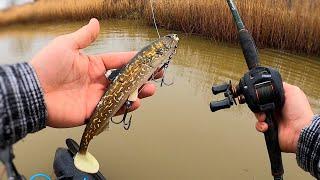 Catching BIG Pike from a Tiny Drain! (new PB!)