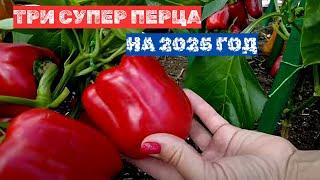 ПЕРЦЫ НА ЗАМЕТКУ! ЛУЧШИЕ СОРТА ПЕРЦА  СЛАДКОГО НА 2025 год