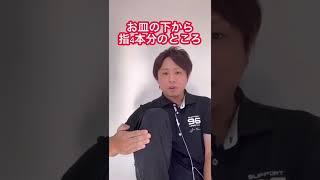 座りすぎて我慢出来ない腰痛が瞬時に和らぐツボをプロが徹底解説 #shorts