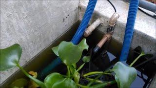 Controle de nível automático do sump - PISCICULTURA LEMES