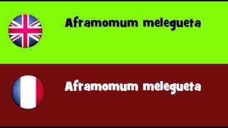 FROM ENGLISH TO FRENCH = Aframomum melegueta