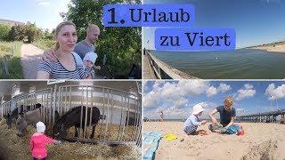 Pfingsten am Weißenhäuser Strand  - Eselhof - Family Vlog - AllesClärchen