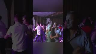 17  моїх літ - Весільний вальс  #гуртакорд  #livemusic #wedding #традиційневесілля #dance