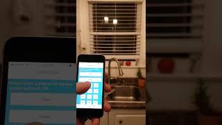Automated Window Blinds
