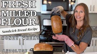 Fresh Milled Flour Sandwich Bread - Soft Honey Whole Wheat Bread Recipe - Autolyze Method