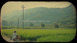 Breathe in the Quiet, Exhale the Chaos.../a playlist for quiet hours/