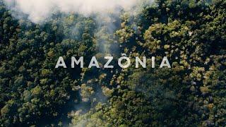 Expedicão Amazônia Teaser - Imersão na Floresta Amazônica - 4k