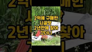 2억에 구매한 시골땅 2년만에 찾아갔더니 충격적인 관경에 할말을 잃었습니다.