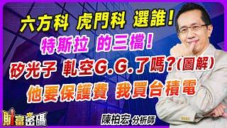 【六方科 虎門科 選誰！ 特斯拉 的三檔！ 矽光子 軋空G.G.了嗎？(圖解)  他要保護費 我買台積電】 #財富密碼 陳柏宏分析師 2024.10.28