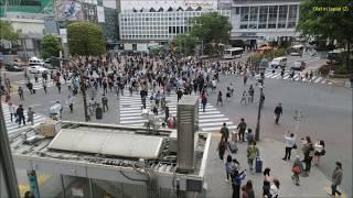 2018-04-14 Tokio: 2. 'Alle-Gehen-Kreuzung' vor dem Bahnhof Shibuya (渋谷駅) / Olaf in Japan (2)