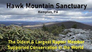 Hawk Mountain Sanctuary PA The Oldest & Largest Raptor Member Supported Conservation in the World