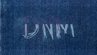 DNM Denim - Company Introduction and Collection