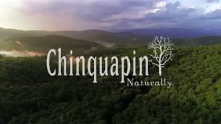 Chinquapin Aerial Tour