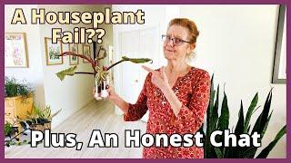 A HOUSEPLANT FAIL? A Honest Chat + Pruning Philodendron Prince Of Orange