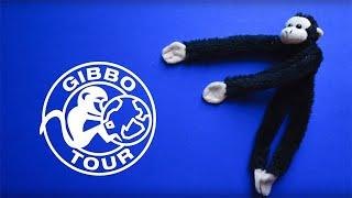 Presentazione GibboTour