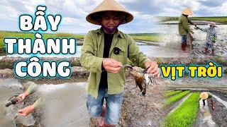 Thế Nhân || Lần Đầu Tiên Bẫy Thành Công Được 2 Cá Thể “Vịt Tặc” Phá Hoại Ruộng Lúa Nước .