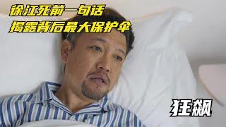 狂飙：徐江死前一句话，揭露背后最大保护伞，安欣没想到【幕后梦想家】