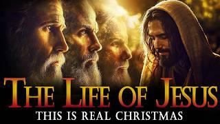 THE TRUE STORY OF CHRISTMAS in the Life of JESUS ​​CHRIST in the Bible |  Bible Stories