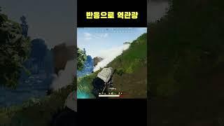 반응으로 역관광~   #Shorts #바실리