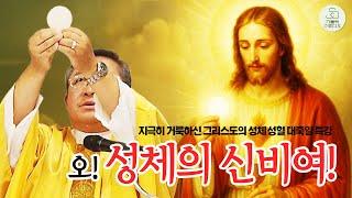 오! 성체의 신비여! I 김웅열 토마스 아퀴나스 신부(청주교구 원로사목자) 지극히 거룩하신 그리스도의 성체 성혈 대축일 미사 강론 2025.6.22 I 천주교/가톨릭/가톨릭스튜디오