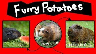 Furry Potatoes