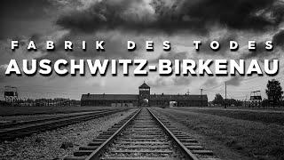 Auschwitz-Birkenau - Fabrik des Todes