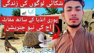 pakistani kabootar baaz|New fighter murga|Suraj bhaifunny video|punjabimunda704|SatinderSartaaj