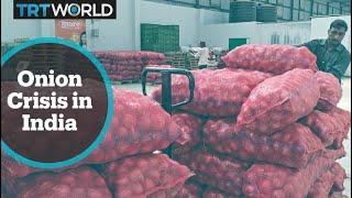 India's Onion Crisis: Onion prices triples in past weeks, supplies constrained