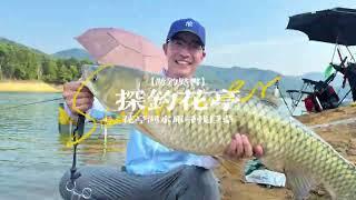 探釣花亭湖，這草魚是真大，飯是真硬