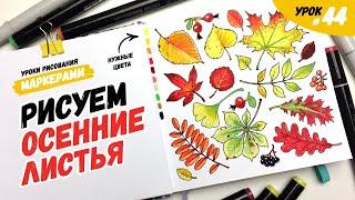 Как нарисовать осенние листья? / Видео-урок по рисованию маркерами для новичков #44