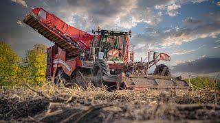 Kartoffelernte mit Grimme Technik Grimme Varitron 470  Fendt 720 One