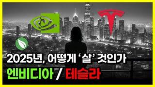 2025년, 어떻게 '살' 것인가 : 엔비디아 / 테슬라