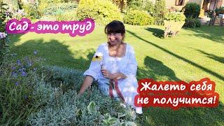 "Баба - д*ра, Паша - пашет, пожалели б себя!" Мой ответ всем, кто это пишет.