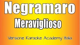 Negramaro -  Meraviglioso (Versione Karaoke Academy Italia)