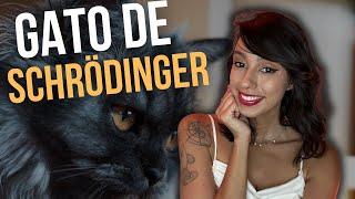 GATO DE SCHRODINGER EXPLICADO