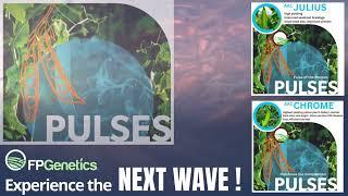 FP Genetics NEXT WAVE Pulses