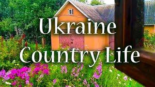 Idyllic Life in Rural Ukraine | Harvesting Food