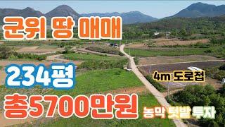 군위토지매매 5000만원대토지 농막용,텃밭용 오도이촌 추천 팔공산부동산 경북토지 군위땅