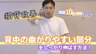 【背中の曲がりやすい部分をしっかり伸ばす方法】小林篤史の毎朝猫背10秒ストレッチ98