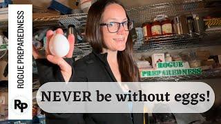 4 Ways to Beat the Egg Shortage Crisis