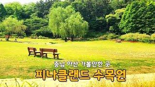 충남 아산 가볼만한 곳 수채화 풍경 가득한 피나클랜드 수목원