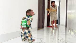 Scared Cubis Monkey Hides Milk Behind His Back After Stealing Milk!