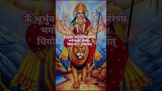 gayatri mantra   | Gayatri stotra | #gayatrimantra #गायत्री मंत्र #gayatripariwar #shortfeed